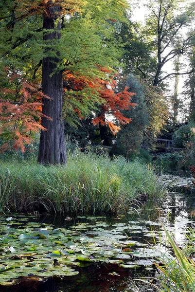 Uitzicht op botanische tuin in de herfst — Stockfoto