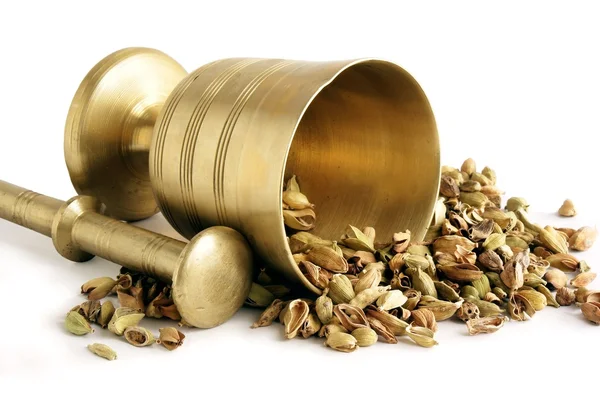 Cardamon grains and montar — Stock Photo, Image