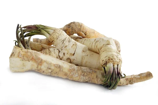 Yemek için baharat olarak horseradish kökleri — Stok fotoğraf