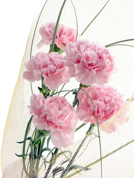 stock image Posy of pink carnations