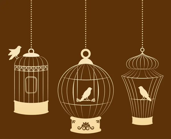 Винтажные декоративные птичьи клетки и птицы — стоковое фото