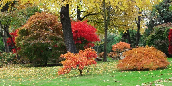 Podzimní japonská zahrada — Stock fotografie