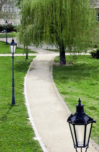 Path in a park of Prague — Stock Photo, Image