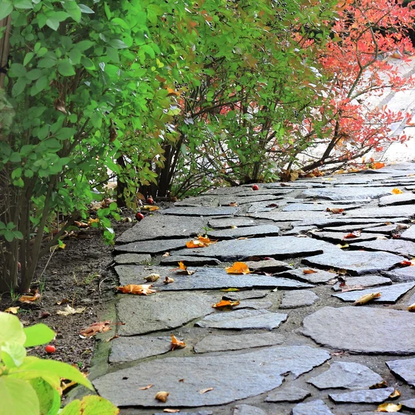 Paved path in a autumn park — Stock Photo, Image