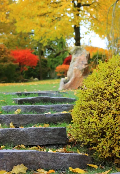 Stentrappor i en japansk trädgård — Stockfoto
