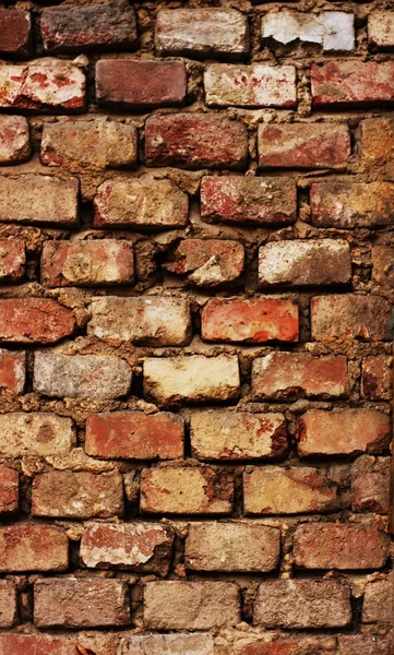 stock image Old brick wall