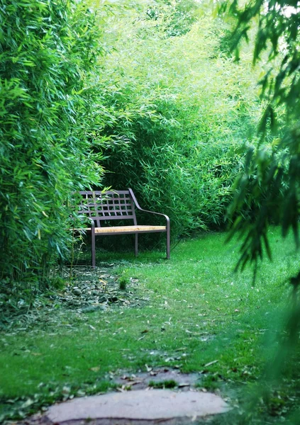 Bench in a japanese garden — Stock Photo, Image