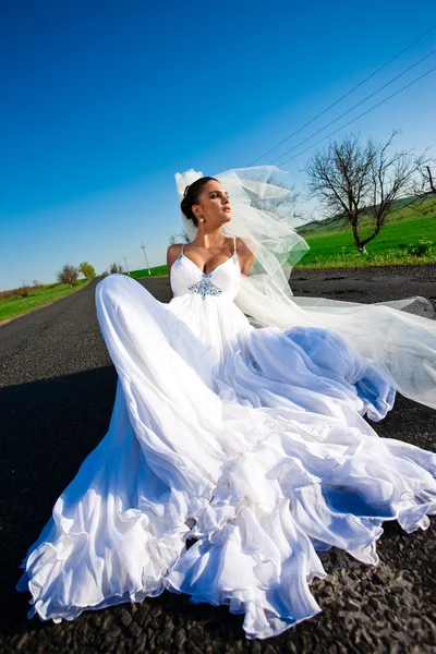 令人惊叹的新娘 免版税图库照片