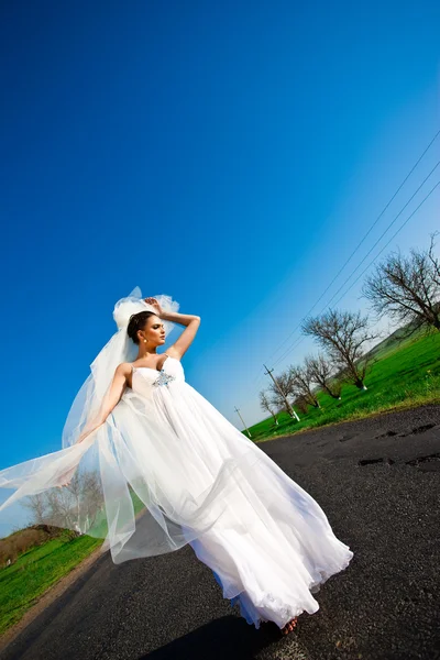 stock image Amazing Bride