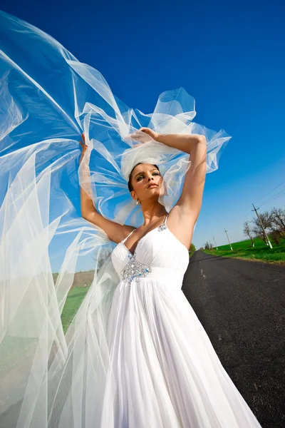 Amazing Bride Stock Photo