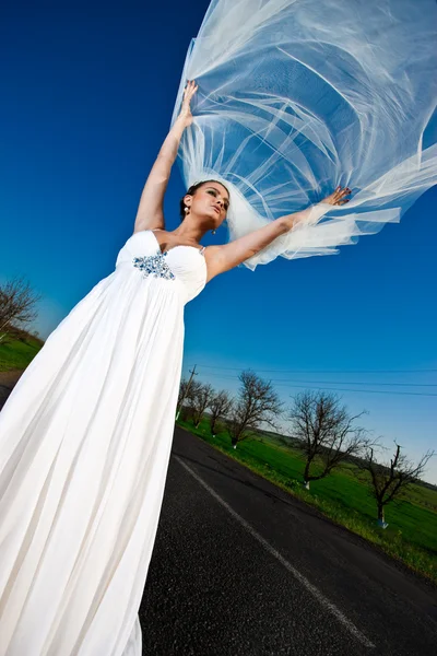 令人惊叹的新娘 免版税图库照片