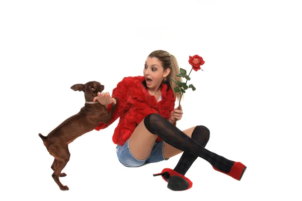 Vacker flicka som leker med en hund — Stockfoto
