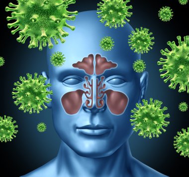 Sinus infection clipart