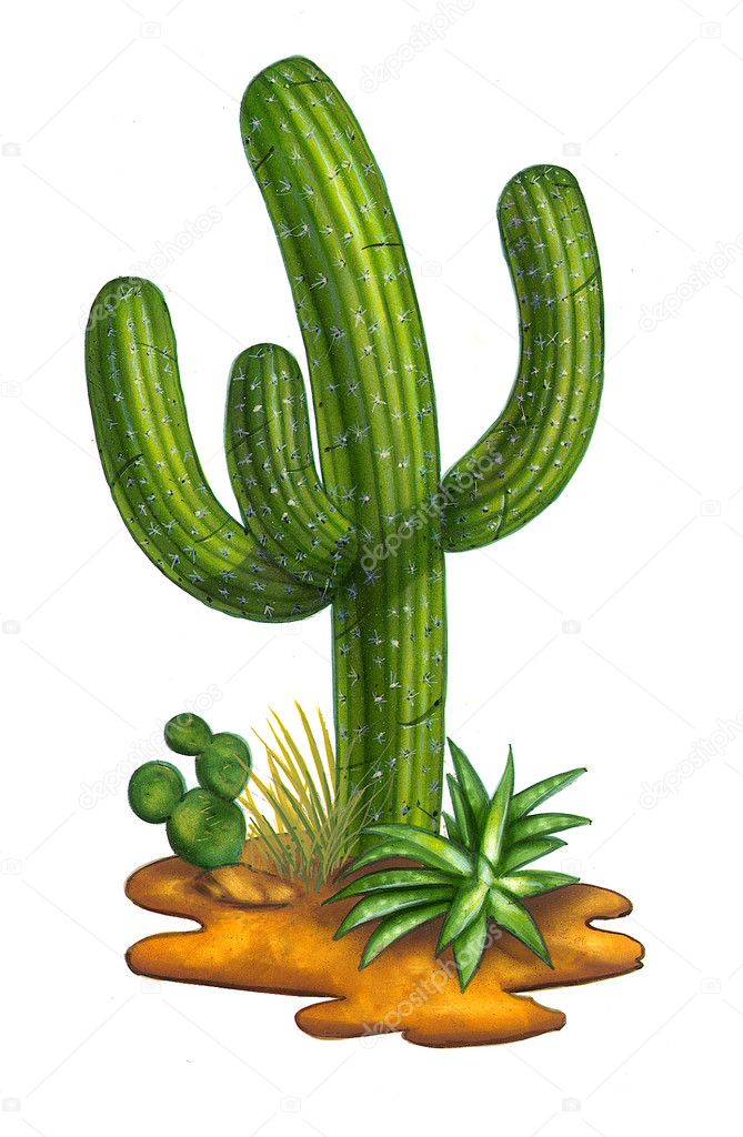 Cactus Face Ilustrações, Vetores E Clipart De Stock – (4,841 Stock