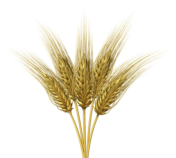 小麦设计 — 图库照片