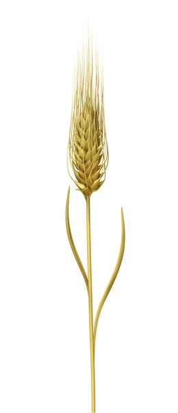 Единая пшеница — стоковое фото