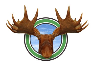 Moose Head Front clipart