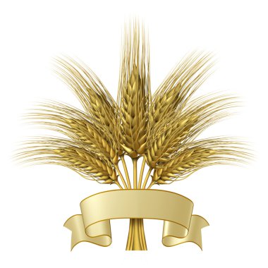 Wheat design with a blank ribbon banner clipart