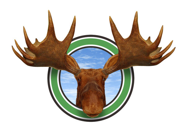 Moose Head Front