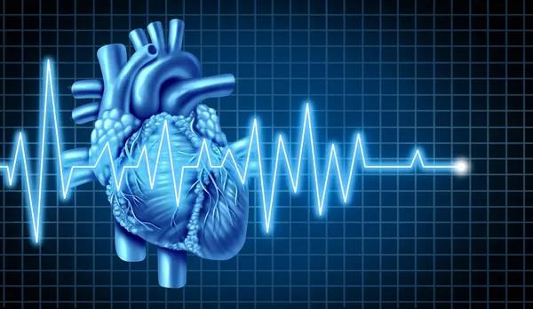 Kalp ve ekg EKG grafiği — Stok fotoğraf