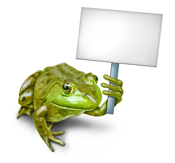 Žába drží prázdný znak — Stock fotografie