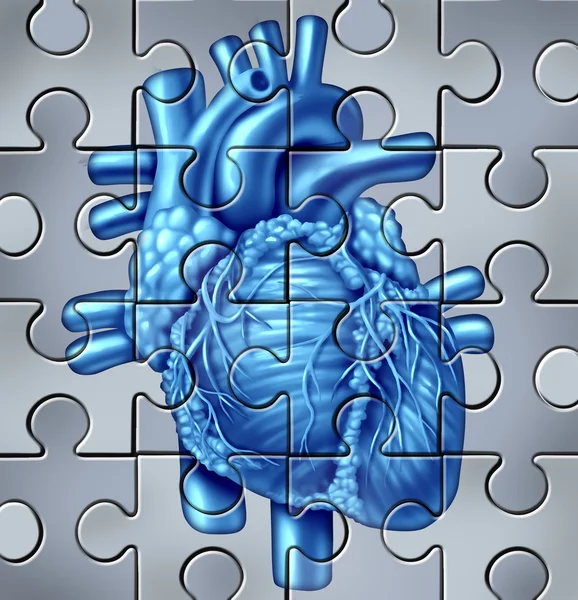 Puzzle do coração humano — Fotografia de Stock