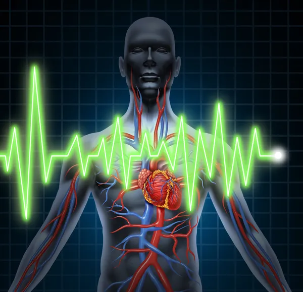 EKG ve ekg kalp-damar sistemi — Stok fotoğraf