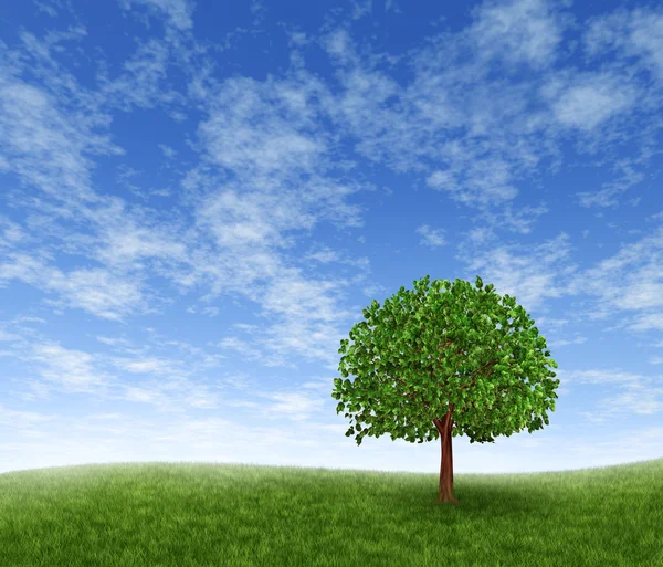 Campo verde e árvore — Fotografia de Stock