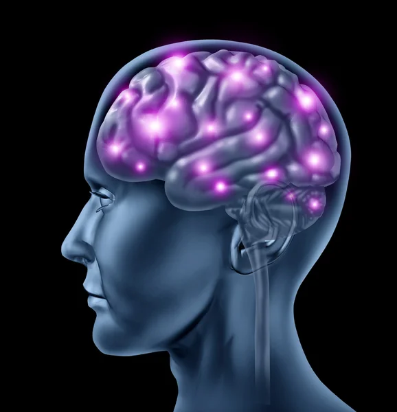 인간의 뇌 지능 — 스톡 사진