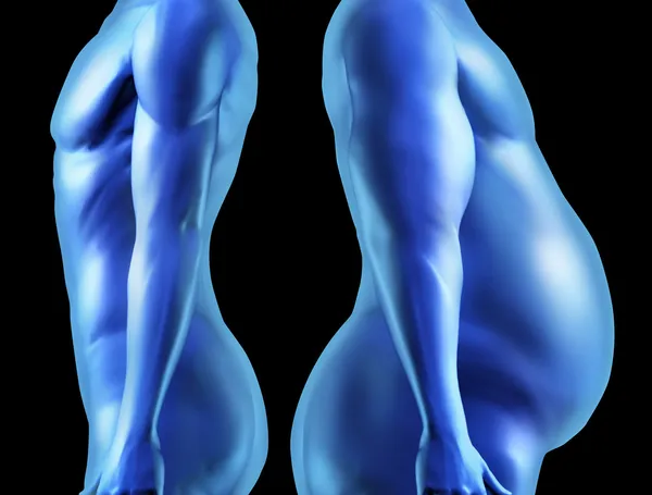 Сравнение форм человеческого тела — стоковое фото