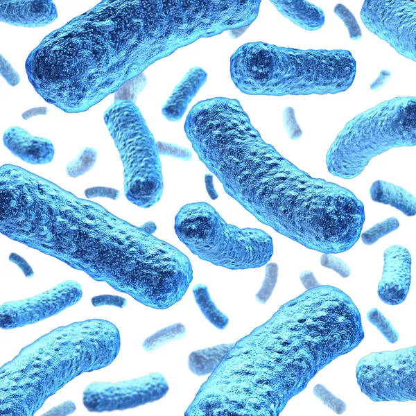 Бактерии и бактерии — стоковое фото