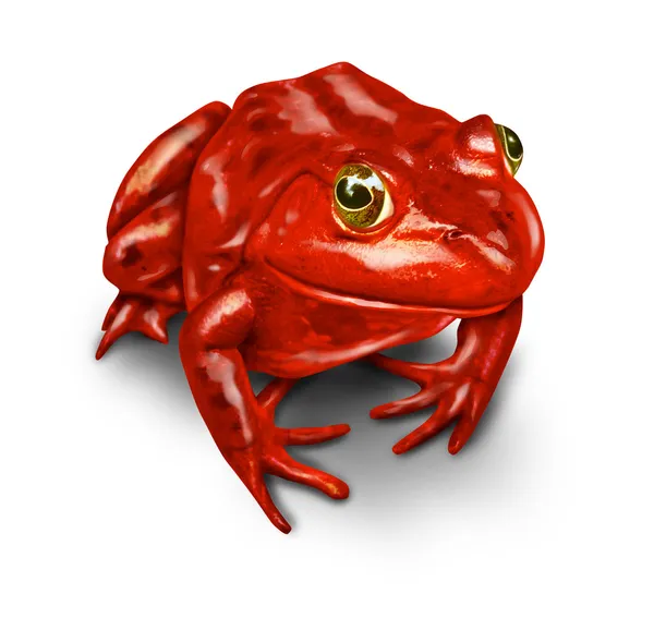 红色青蛙 — 图库照片