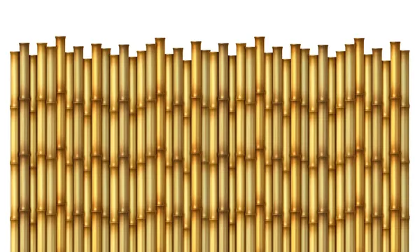Bamboo Fence — Stock Photo, Image