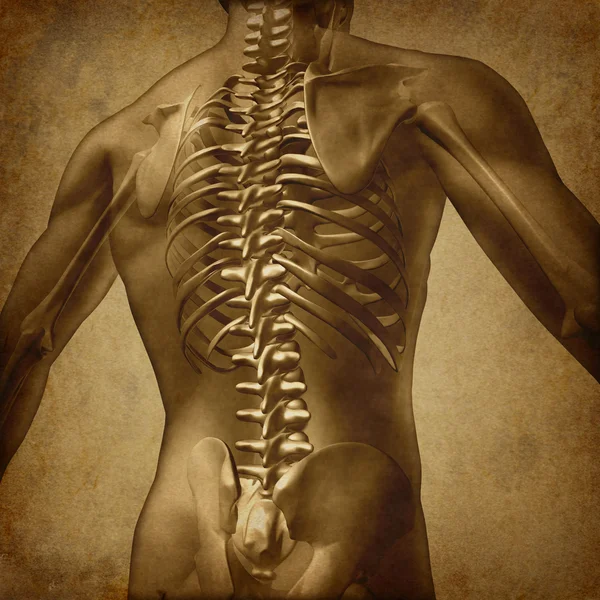Menschliche Rückengrunge-Textur — Stockfoto