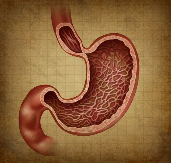 Diagrama de Grunge de Anatomia do Estômago — Fotografia de Stock