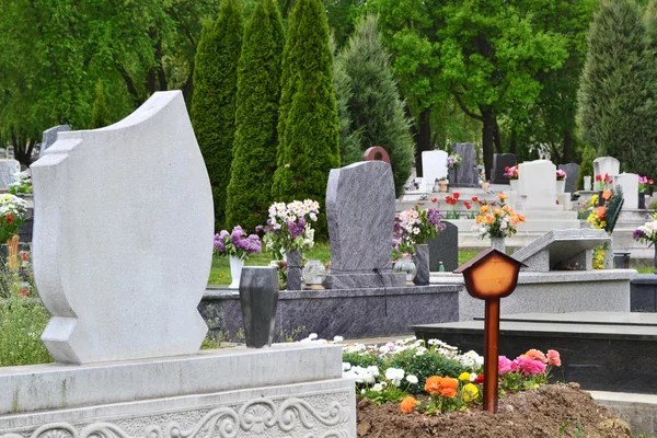 Cemetery with flowers — Stock Photo, Image