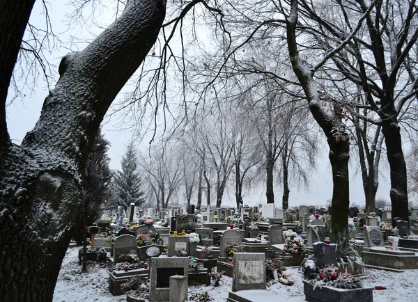 Hřbitov v zimě — Stock fotografie