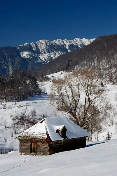 Carparthian landschap, wintertijd — Stockfoto