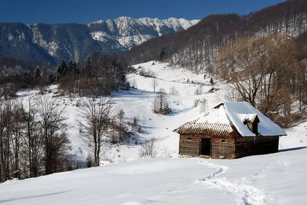 Landsbygdens vinterlandskap i Rumänien — Stockfoto