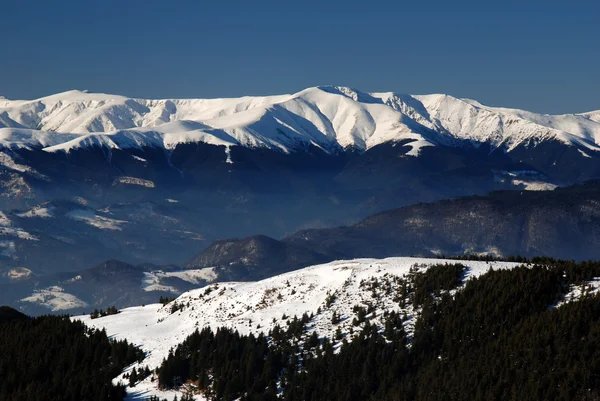 Zima v Karpatských horách — Stock fotografie