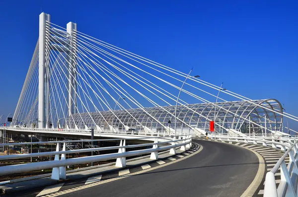 Basarab viaduct brug in Boekarest, Roemenië Stockafbeelding
