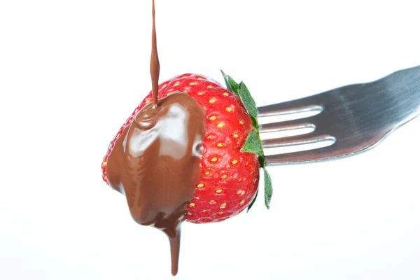 Morango no garfo regada a chocolate. sobre um fundo branco. — Fotografia de Stock