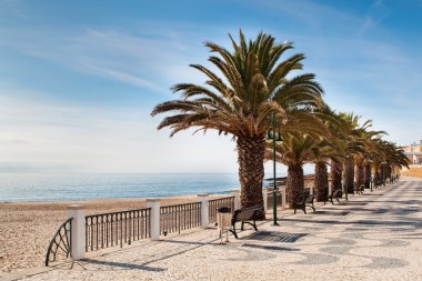 Street on the beach with palm trees clipart