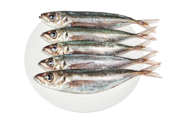 stock image Raw mackerel on a plate. Fish.
