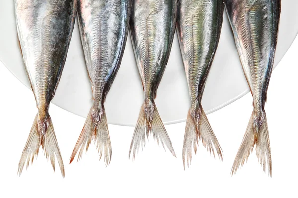 Tails of raw mackerel on a plate. — kuvapankkivalokuva