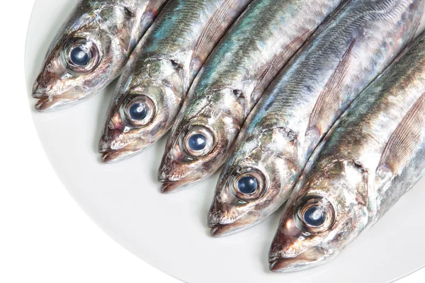 The heads of raw mackerel on a plate. On a white background. — kuvapankkivalokuva