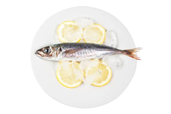 Mackerel in the bowl with the lemon. On a white background. — kuvapankkivalokuva