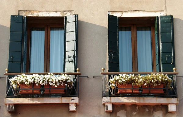 Janelas com flores — Fotografia de Stock