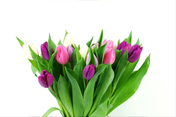 Um buquê tulipas — Fotografia de Stock