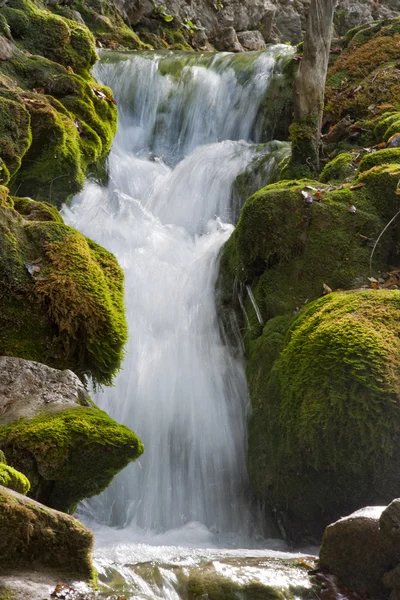 Wasserfall auf plitvicka jezera - plitvice — Stockfoto